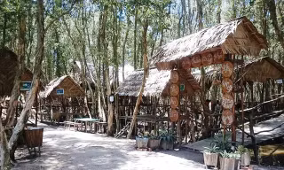 Nhà hàng giữa rừng.