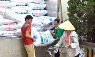 Mỗi năm Việt Nam tiêu thụ khoảng 11 triệu tấn phân bón