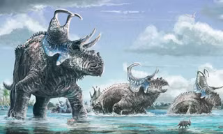 Hình vẽ mô phỏng loài khủng long mới Machairoceratops cronusi.