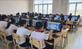 Sân chơi Violympic có thêm 2 môn mới 