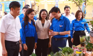 Tuổi trẻ Hà Nam trồng cây xanh, đổi rác lấy cây xanh... khởi động chiến dịch tình nguyện Hè 2024