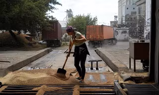 Ukraine ký thỏa thuận xuất khẩu ngũ cốc với Liên Hợp Quốc, Thổ Nhĩ Kỳ