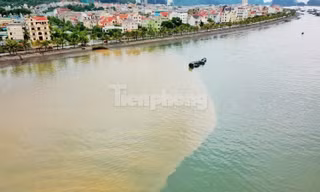 Vịnh Hạ Long 'đổi màu' sau mưa lớn