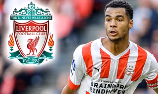 MU 'vồ hụt' Cody Gakpo, bị Liverpool nẫng tay trên 