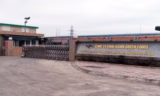 Hải Dương: Phạt công ty chế biến rau củ quả 330 triệu đồng 