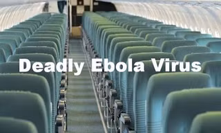 Ebola có dễ lây lan trên máy bay?