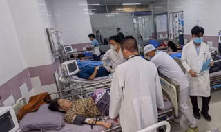 Bản tin 8H: Xử phạt tiệm bánh mì ở Sóc Trăng khiến hơn 150 người nhập viện