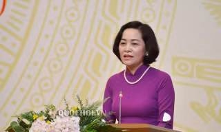 Lấy ‘bài học’ việc dừng buổi giám sát tại TPHCM để HĐND các địa phương tham khảo