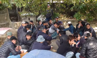 Loạn án treo