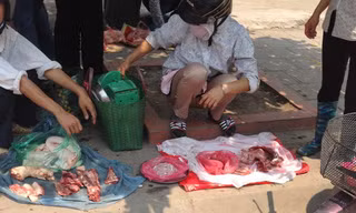 Kinh hoàng ‘chợ’ thịt chân cầu Thăng Long