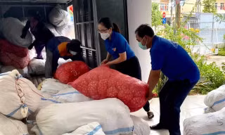 Đoàn viên, thanh niên tình nguyện hỗ trợ đóng gói tỏi Lý Sơn cho bà con nông dân