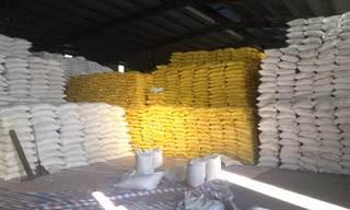 Kho gạo bà Nguyễn Thị Nguyệt (Lào Cai) còn tồn khoảng 2.300 tấn chưa xuất được sang Trung Quốc. Ảnh: Phạm Anh