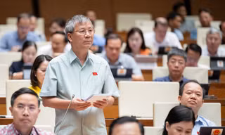 Đại biểu Quốc hội: Thực sự đau buồn trước 'nạn dịch' cán bộ sợ trách nhiệm 
