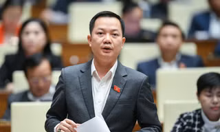 Phê chuẩn nhân sự 2 Uỷ ban của Quốc hội 