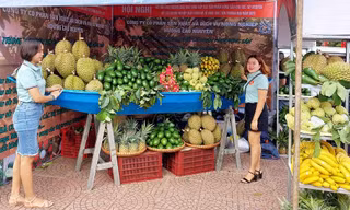 Hội nông dân Đắk Lắk kêu gọi xóa bỏ thói quen 'rau 2 luống, lợn 2 chuồng'