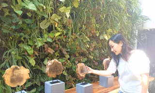 Nét đẹp Buôn Ma Thuột xưa được in độc bản trên gỗ cà phê 30 năm tuổi