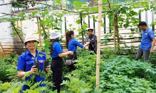 Tuổi trẻ Đắk Lắk tô thêm sắc xanh bảo vệ môi trường