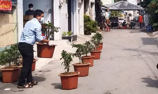 Góc dễ thương "xỉu": Thi trồng cây táo giảm xì-trét tại các hộ dân quận 12 đang cách ly 