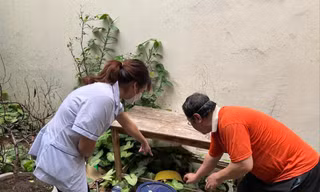 Nhân viên y tế tại Hà Nội hướng dẫn người dân cách phòng chống SXH