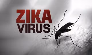 TPHCM công bố dịch Zika