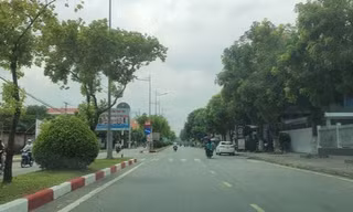 Bộ Công an yêu cầu Bạc Liêu nêu rõ lý do chưa cung cấp đầy đủ hồ sơ dự án cây xanh