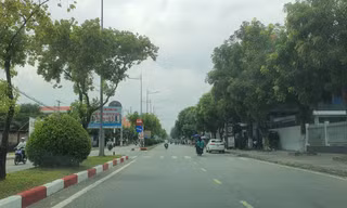 Bạc Liêu bổ sung báo cáo gửi Cơ quan điều tra Bộ Công an về các dự án cây xanh