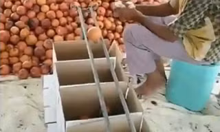 Phân loại trái cây