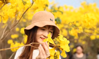 Vườn hoa Phong Linh đẹp như trời Âu ở Bắc Giang