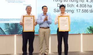 Thủ phủ cà phê ứng phó khi EU cấm nhập hàng xuất xứ từ phá rừng