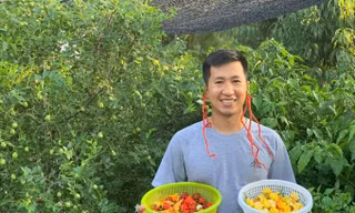 Lạ lùng chàng trai Việt có niềm đam mê bất tận với... ớt