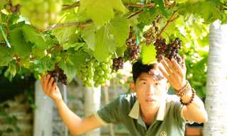 Chàng trai Ninh Thuận biến khu vườn xơ xác thành chốn thư giãn, đẹp như mơ