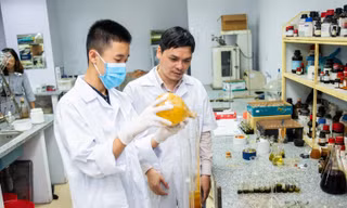 Học sinh Việt Nam 'thắng lớn' tại cuộc thi nghiên cứu khoa học quốc tế