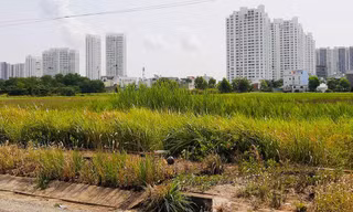 Đề xuất đánh thuế cao dự án ôm 'đất vàng' bỏ hoang triệt tiêu đầu cơ, găm đất