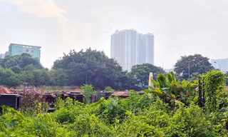 Nơi học sinh bốc thăm để được đi học, đề nghị chủ các khu đô thị giao lại 7 ô đất để xây trường 