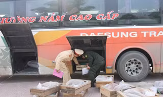 Động vật hoang dã 'đi' ôtô khách