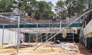 Đà Lạt tháo dỡ 72ha nhà kính, trả lại mảng xanh cho thành phố trong rừng