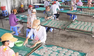 Chế biến cá khô ở xã Bình Thắng. Ảnh: Ngọc Huyền 