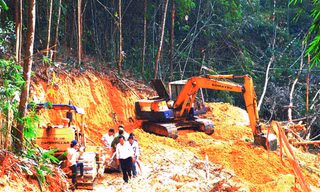 Cty Tân Phát cho xe mở đường chở gỗ của Cty Trường Thành. Ảnh: Nhuận-Hường