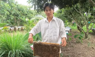 Anh Điền bên những kèo ong đang cho mật.