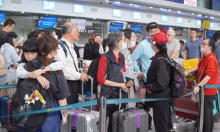 Cô giáo tá hỏa bỗng dưng thành giám đốc doanh nghiệp, bị cấm xuất cảnh