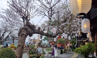 Ngôi chùa cảnh sắc đẹp như phim trên núi Đà Nẵng hút khách