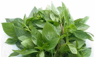 Ảnh minh hoạ: Internet