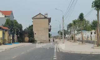 Kỳ lạ ngôi nhà 'mọc' giữa đường ở Quảng Ninh
