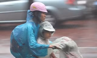 Nhiều nơi mưa, rét