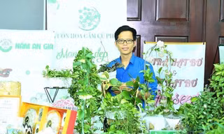 Hành trình trở về quê hương và khởi nghiệp từ hoa cẩm cù