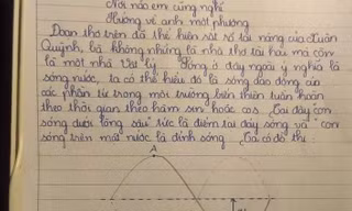 Khi dân chuyên Lý làm Văn: Sóng của Xuân Quỳnh bỗng thành... bài tập dao động sóng cơ