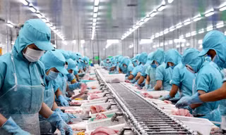 Doanh nghiệp thủy sản ‘đầy ắp’ đơn hàng đến cuối năm, đặt mục tiêu lãi kỷ lục