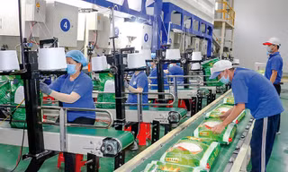 Xuất khẩu gạo tăng chưa từng có, vì sao doanh nghiệp vẫn báo lỗ?