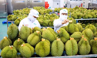 Xuất khẩu rau quả tăng mạnh đầu năm mới 