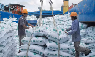 Doanh nghiệp lúa gạo làm ăn thất bát, đua nhau báo lỗ 